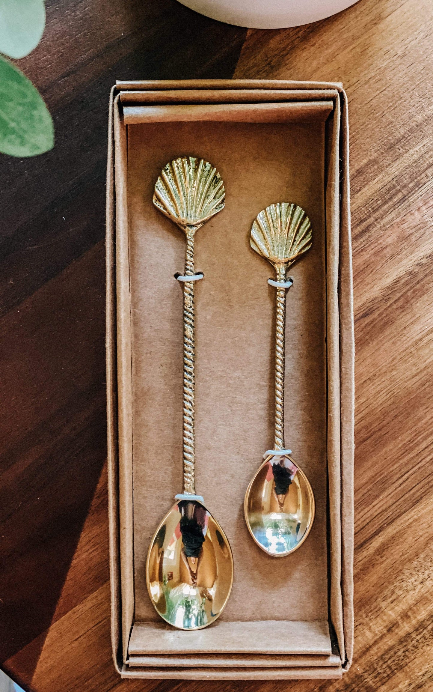 Sea Shell Spoon Set